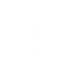 Zmaj
